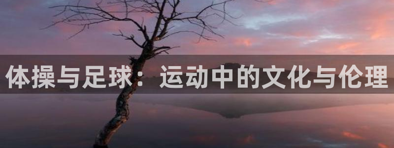 oety欧亿体育官网下载平台是正规平台吗安全吗:体操与足球:
