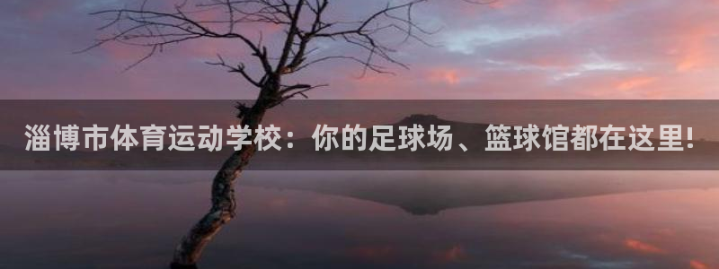 欧亿体育官方正版app娱乐首页官网下载:淄博市体育运动学校:
